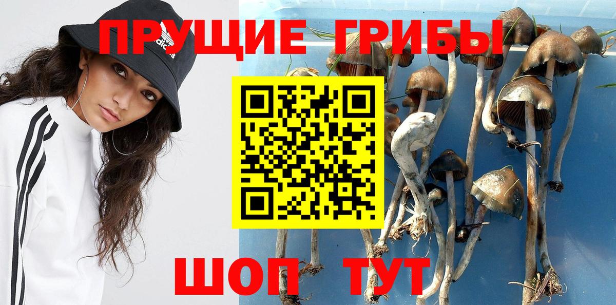 Галлюциногенные грибы прущие грибы Топки