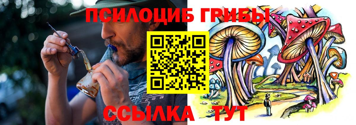Псилоцибиновые грибы Psilocybe  Вход с VPN  Псилоцибиновые грибы мицелий  Топки 